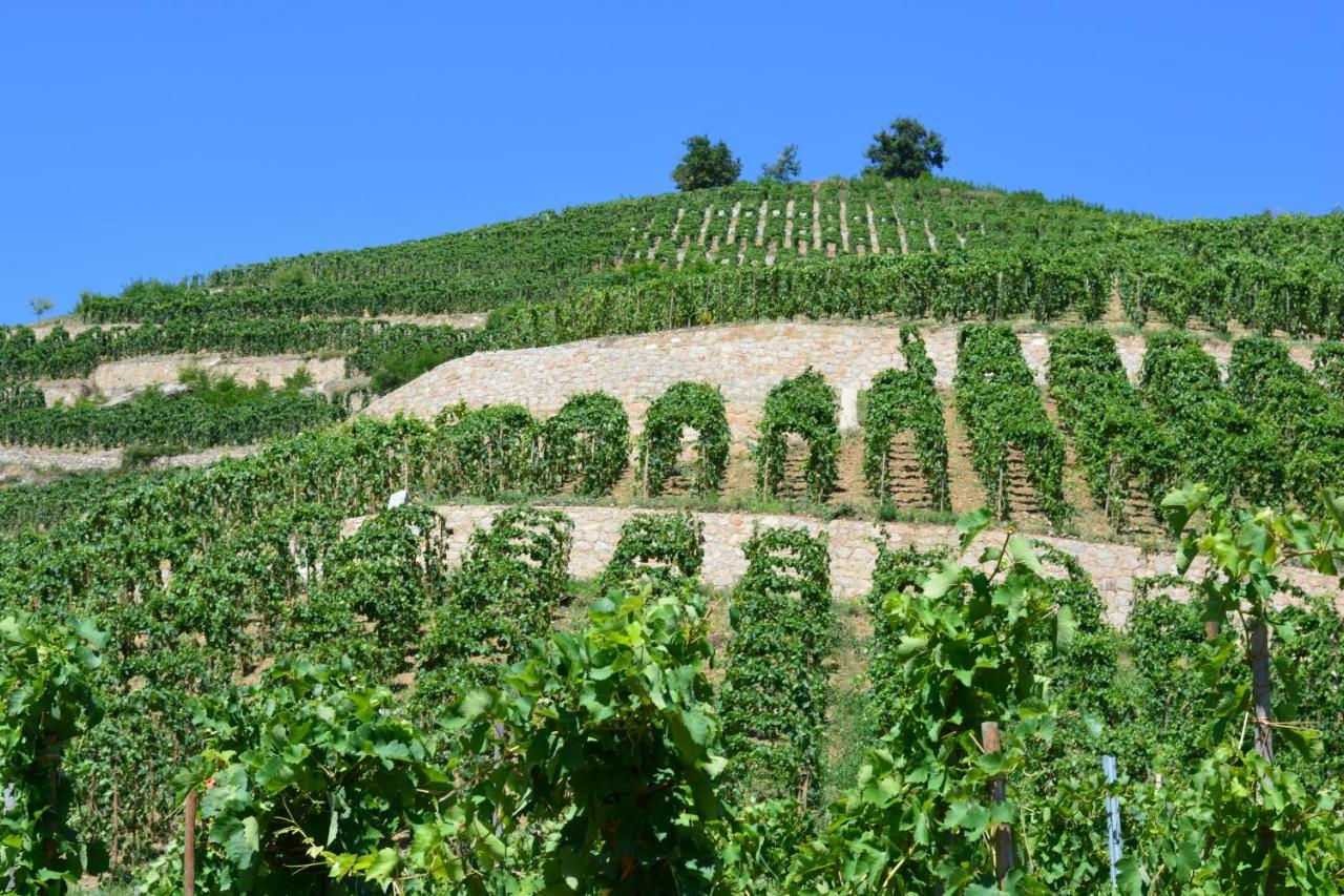 Lamaisondemamere Tournon-sur-Rhone Exteriör bild