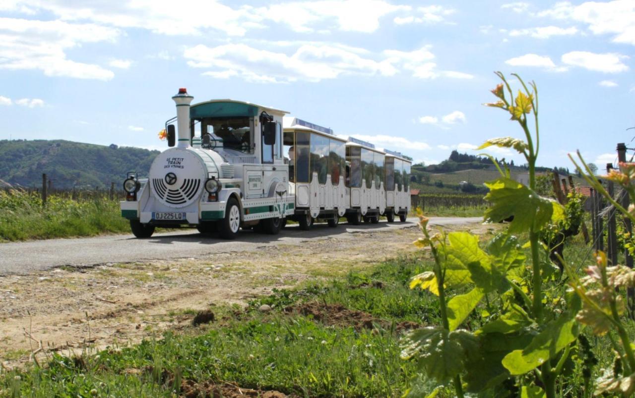 Lamaisondemamere Tournon-sur-Rhone Exteriör bild